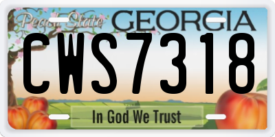 GA license plate CWS7318
