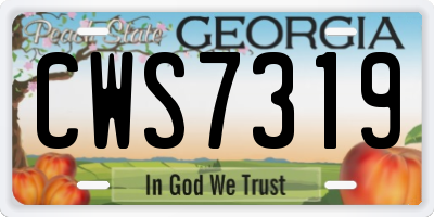GA license plate CWS7319