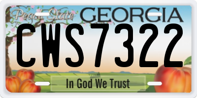 GA license plate CWS7322