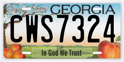 GA license plate CWS7324