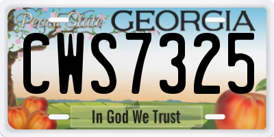 GA license plate CWS7325
