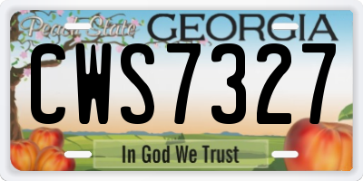 GA license plate CWS7327