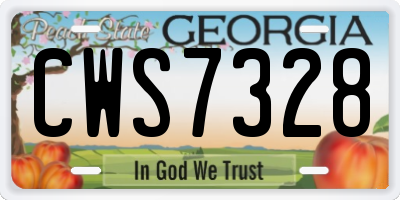 GA license plate CWS7328