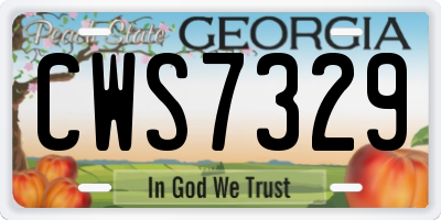 GA license plate CWS7329