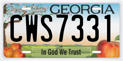 GA license plate CWS7331