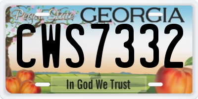 GA license plate CWS7332