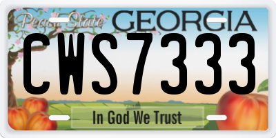 GA license plate CWS7333