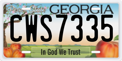 GA license plate CWS7335