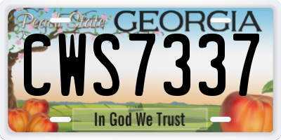 GA license plate CWS7337