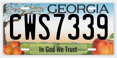 GA license plate CWS7339