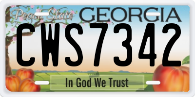 GA license plate CWS7342