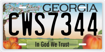 GA license plate CWS7344