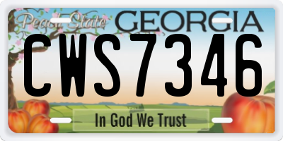 GA license plate CWS7346