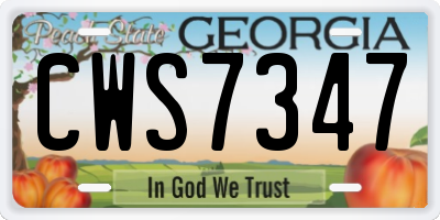 GA license plate CWS7347