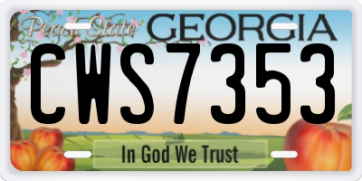 GA license plate CWS7353