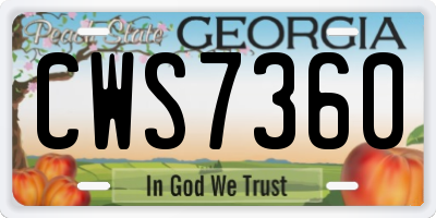 GA license plate CWS7360