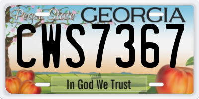 GA license plate CWS7367
