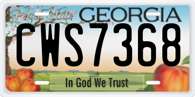 GA license plate CWS7368