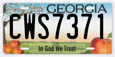 GA license plate CWS7371