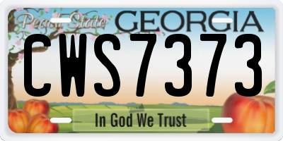 GA license plate CWS7373