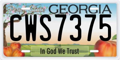 GA license plate CWS7375