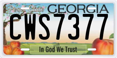 GA license plate CWS7377