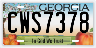 GA license plate CWS7378