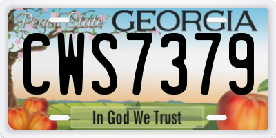 GA license plate CWS7379