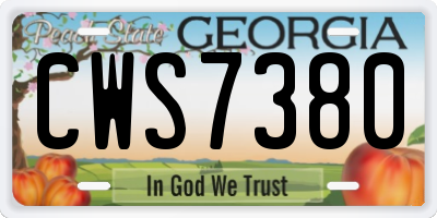 GA license plate CWS7380