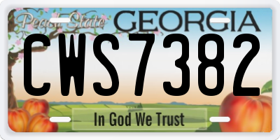 GA license plate CWS7382