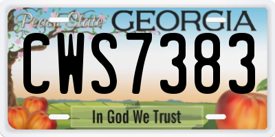 GA license plate CWS7383