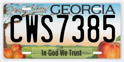 GA license plate CWS7385