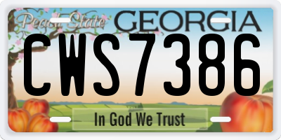 GA license plate CWS7386
