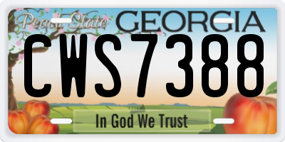 GA license plate CWS7388