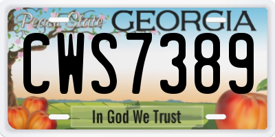 GA license plate CWS7389