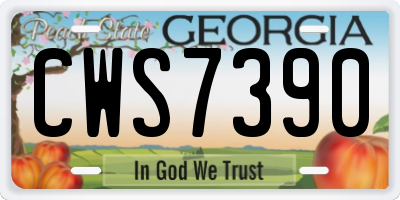 GA license plate CWS7390