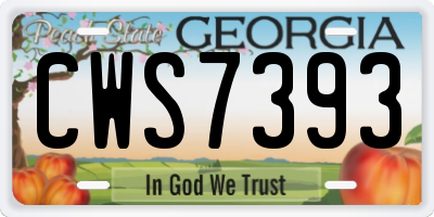 GA license plate CWS7393