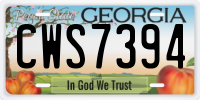 GA license plate CWS7394
