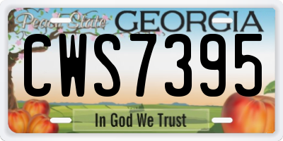 GA license plate CWS7395