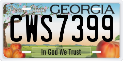 GA license plate CWS7399