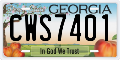 GA license plate CWS7401