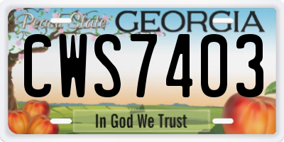 GA license plate CWS7403