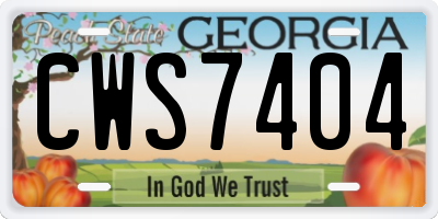GA license plate CWS7404