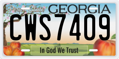 GA license plate CWS7409