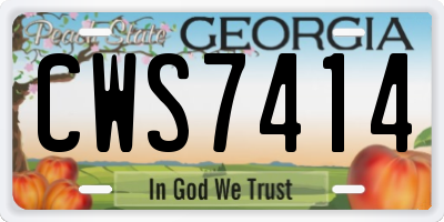 GA license plate CWS7414
