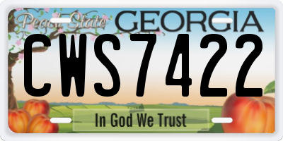 GA license plate CWS7422