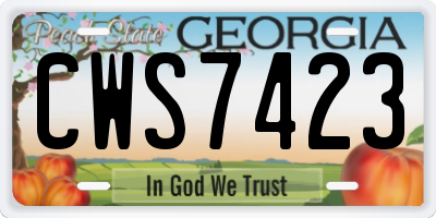 GA license plate CWS7423