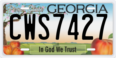 GA license plate CWS7427