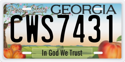 GA license plate CWS7431