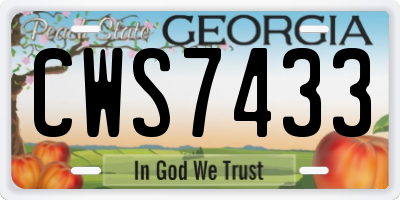 GA license plate CWS7433